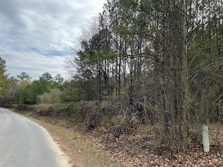 0 Popham Rd Unit 7676733, Taylorsville, GA 30178