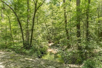 0 Creekwood Dr Unit 29895, Dublin, GA 31021