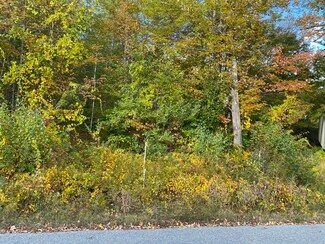 Lot 135 Pratt Rd, Wilton, ME 04294