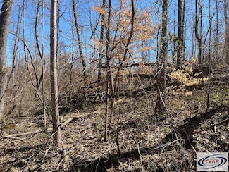 00 Skyline Dr, Huntingdon, TN 38344