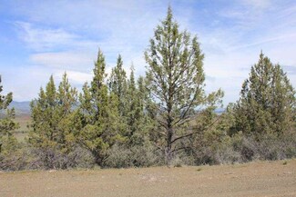 0 Erick Ln Unit ML81645625, Hornbrook, CA 96044