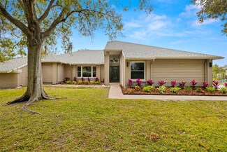 1165 Curlew Rd, Dunedin, FL 34698