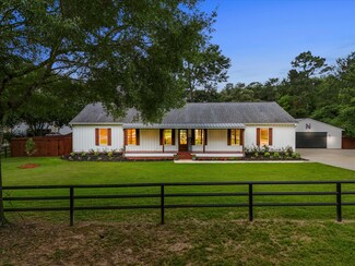 217 Sundew Ct, Magnolia, TX 77355