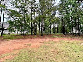 513 Misty Banks Dr, Chapin, SC 29036