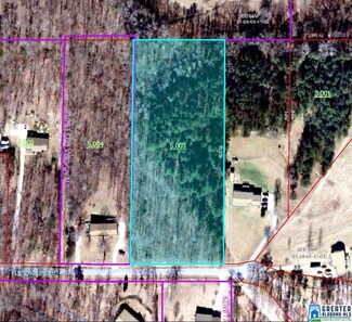 0 Fulton Cir Unit 4 acres 774512, Sylacauga, AL 35150