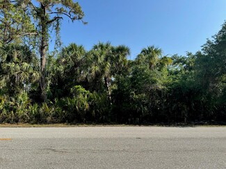 14258 Chamberlain Blvd, Point Charlotte, FL 33953
