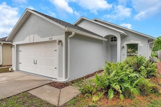 2907 Mingo Dr, Land O Lakes, FL 34638