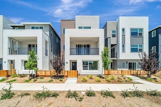 1017 Sinopia Terrace, San Ramon, CA 94583