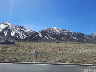 333 James Canyon Loop, Carson City, NV 89705