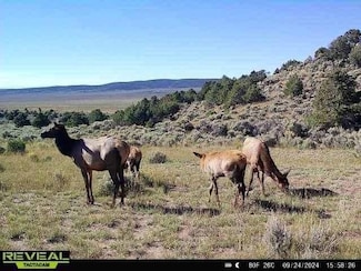 91 Arellano Rd, Amalia, NM 87512