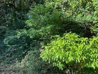 5710 Woodchase Cir W, Theodore, AL 36582