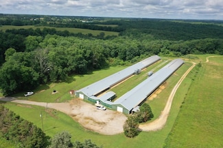 1671 County Highway 71, Hackleburg, AL 35564