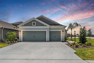 4406 Rustling Pines Terrace, Parrish, FL 34219