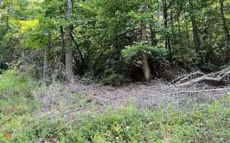 TR 1 Fires Creek Cove, Hayesville, NC 28904
