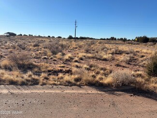 Lot 146 W Wedding Trail, Snowflake, AZ 85937