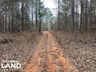 0 Moores Mill Rd, Belmont, MS 38827