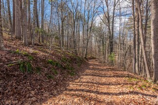 1016 Ferney Creek Rd NW, Willis, VA 24380