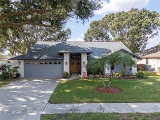 2634 Green Valley St, Valrico, FL 33596