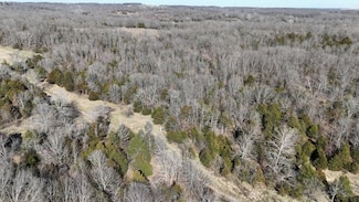 Tract 5 State Highway 38, Hartville, MO 65667