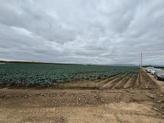 0 Netherton Rd, Newman, CA 95360