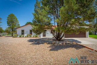 4501 Ranchito Dr, Roswell, NM 88201