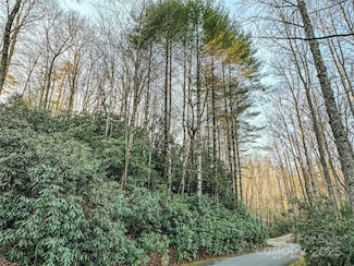 D17 Caroline Ln, Pisgah Forest, NC 28768