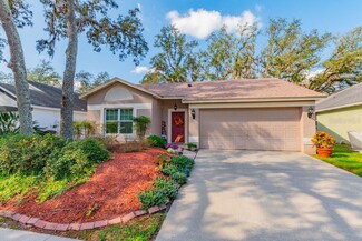 4009 Fontana Place, Valrico, FL 33596
