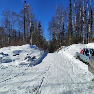 No Road E Walsted Dr, Susitna North, AK 99676