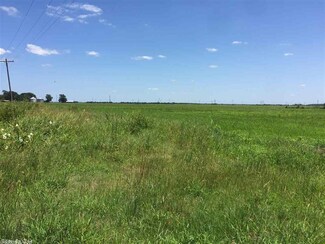 0 Hwy 17 Hwy Unit 19030446, Brinkley, AR 72021