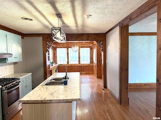137 S Pine St, Centralia, IL 62801