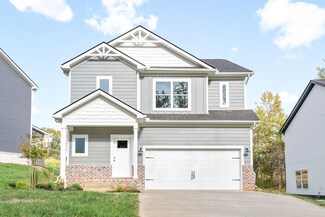 85 New Hope Estates, Joelton, TN 37080