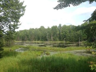 87ac off Cth B, Boulder Junction, WI 54512