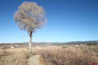 TBD County Road 510, Durango, CO 81303