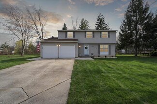 8795 Lawton Dr, MacEdonia, OH 44056