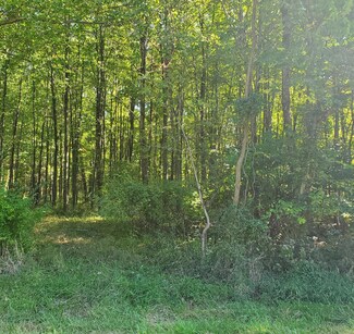 12952 Locust Ridge New Harmony Rd, Pike Township, OH 45176