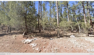 110 Bradshaw Dr, Pine, AZ 85544