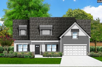 13 Elk Run Ct, Chapin, SC 29036