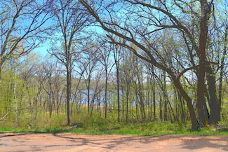 TBD Ottawa Dr, Browerville, MN 56438
