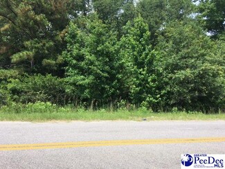 280 Piedmont Rd, Bishopville, SC 29010