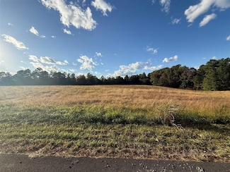 Lot 17 Canyon Run Rd, Lewisburg, KY 42256