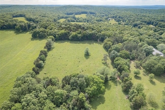 10101 Bequette Rd, Cadet, MO 63620