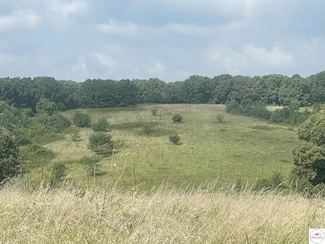 29199 Henning Rd, Williams Township, MO 65325