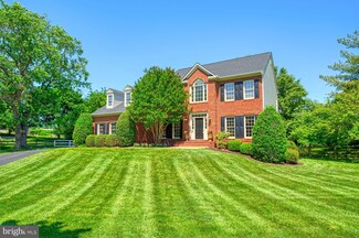 11104 Tommye Ln, Reston, VA 20194
