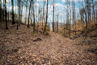 304 Gilley Ln, Chickamauga, GA 30707