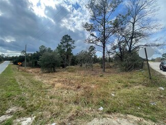 0 SE 68th Ln Unit OM650167, Morriston, FL 32668