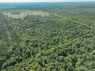 294 Dallas Rd, Sparkman, AR 71763