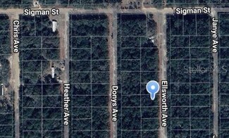 0 Ellsworth Ave Unit MFROM697119, Interlachen, FL 32148