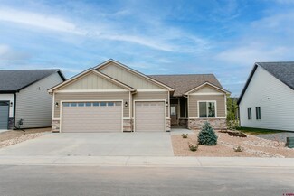 1606 Blue Creek Ave, Montrose, CO 81401