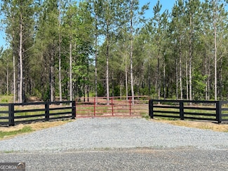 0 Dewey Thomas Rd Unit LOT 9 10305696, Dexter, GA 31019