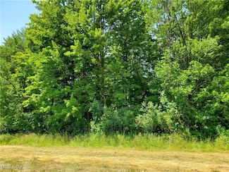 0 Munn Rd Unit 5139991, Chagrin Falls, OH 44023
